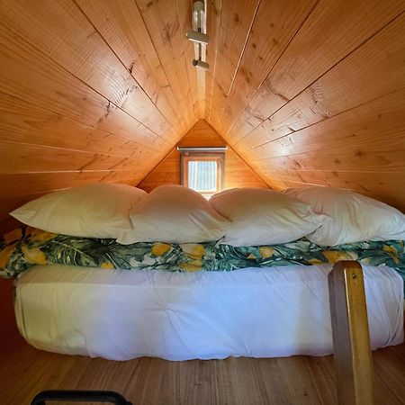 Studio Or Cabin On Whitby Νέλσον Εξωτερικό φωτογραφία