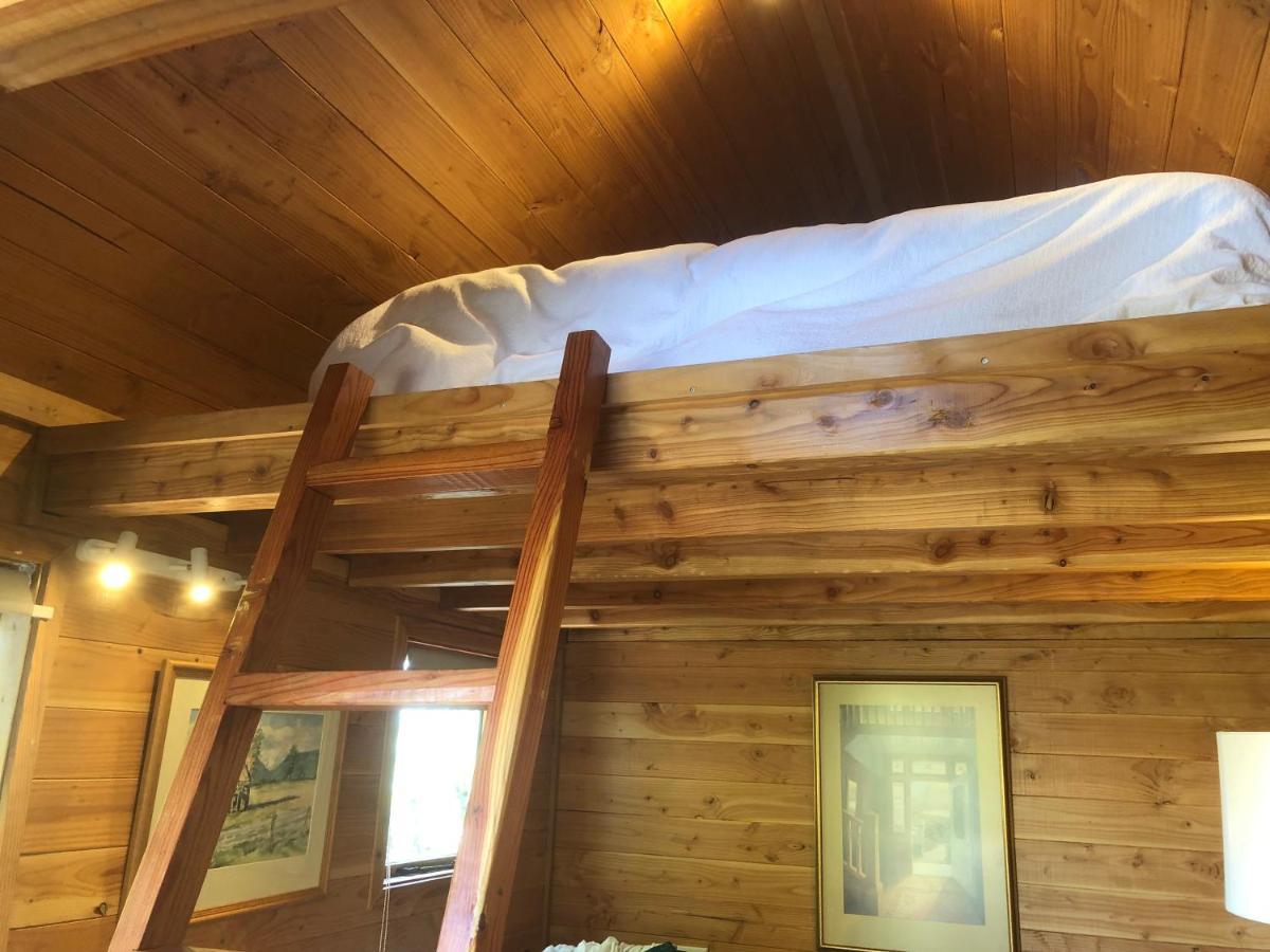 Studio Or Cabin On Whitby Νέλσον Εξωτερικό φωτογραφία